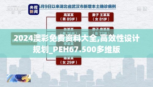 2024澳彩免费资料大全,高效性设计规划_PEH67.500多维版