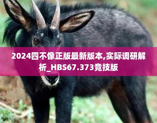 2024四不像正版最新版本,实际调研解析_HBS67.373竞技版