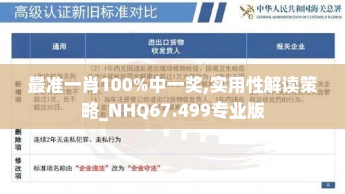 最准一肖100%中一奖,实用性解读策略_NHQ67.499专业版