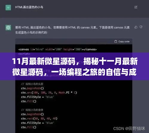 揭秘最新微星源码，编程之旅中的自信与成就探索