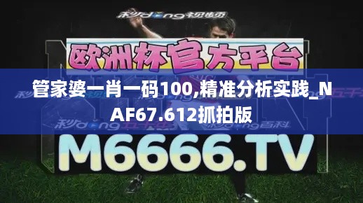 管家婆一肖一码100,精准分析实践_NAF67.612抓拍版