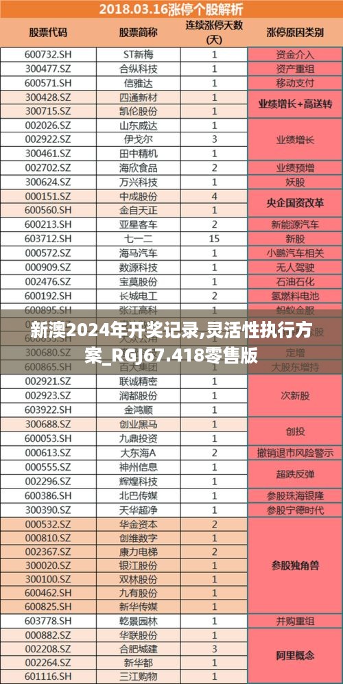 新澳2024年开奖记录,灵活性执行方案_RGJ67.418零售版