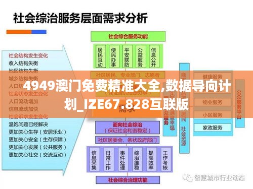 4949澳门免费精准大全,数据导向计划_IZE67.828互联版