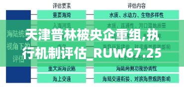 天津普林被央企重组,执行机制评估_RUW67.259交互版