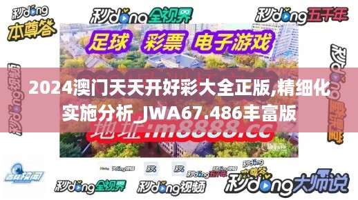 2024澳门天天开好彩大全正版,精细化实施分析_JWA67.486丰富版