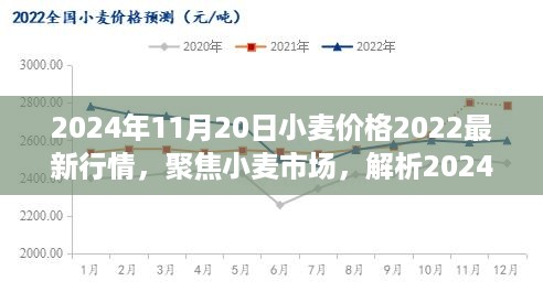 聚焦小麦市场，解析最新小麦价格行情（2024年11月20日科普版）