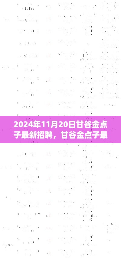 甘谷金点子最新招聘深度测评与介绍，2024年11月20日更新！