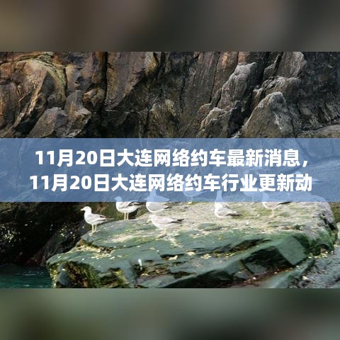 大连网络约车行业最新动态更新（11月20日）