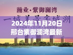 邢台紫御澜湾最新动态揭秘，产品特性解读、用户体验与目标用户群体深度分析