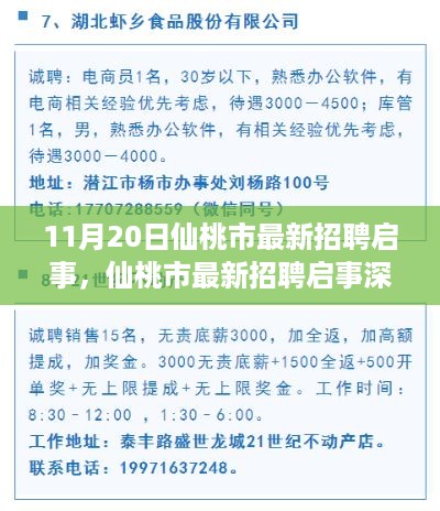 仙桃市最新招聘启事深度评测与介绍（11月20日更新）