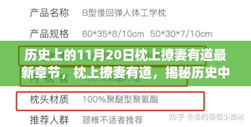 揭秘历史中的神秘11月20日，枕上撩妻有道最新章节探秘