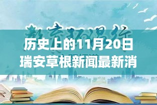 历史上的11月20日瑞安草根新闻回顾与最新消息探寻