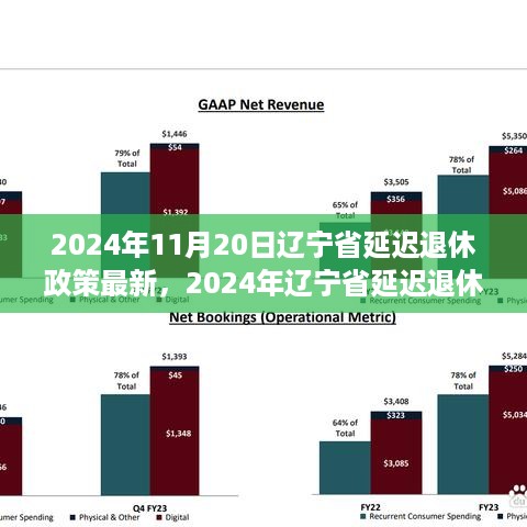 辽宁省延迟退休政策最新动态（2024年更新）