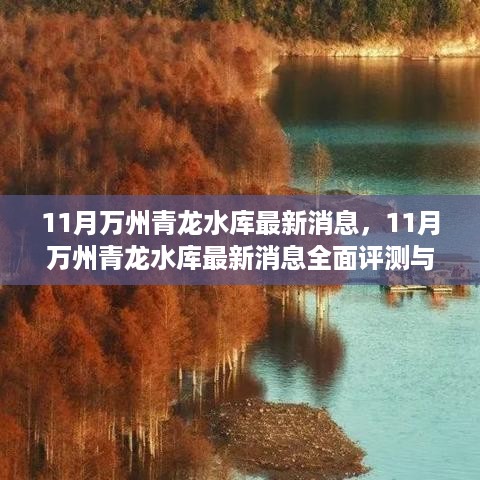 11月万州青龙水库最新消息全面解析与介绍