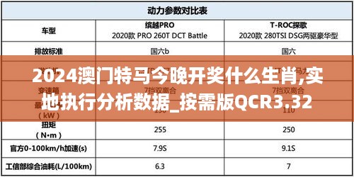 2024澳门特马今晚开奖什么生肖,实地执行分析数据_按需版QCR3.32