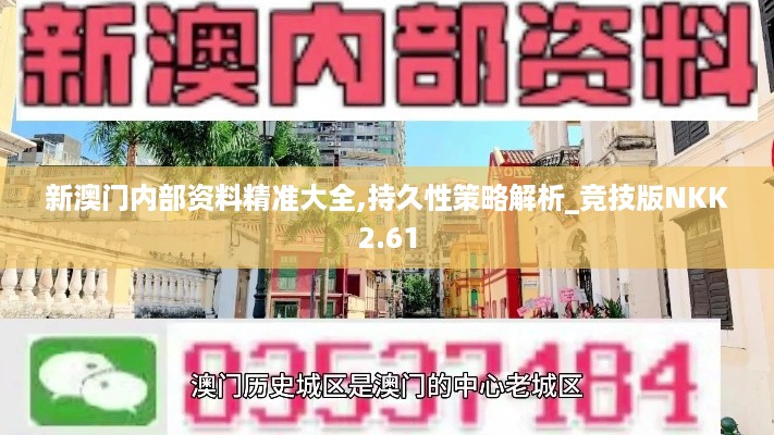 新澳门内部资料精准大全,持久性策略解析_竞技版NKK2.61