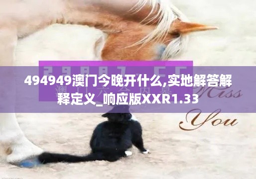 494949澳门今晚开什么,实地解答解释定义_响应版XXR1.33