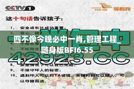 四不像今晚必中一肖,管理工程_随身版BFI6.55