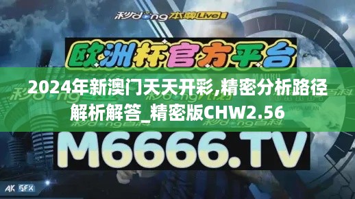 2024年新澳门天天开彩,精密分析路径解析解答_精密版CHW2.56