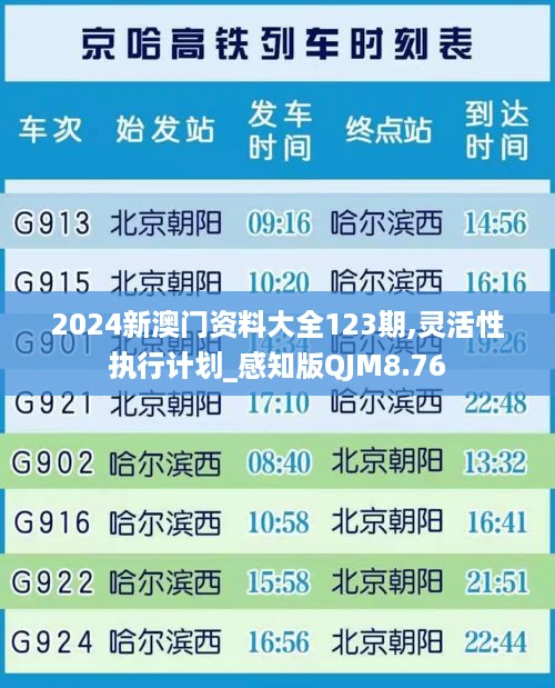 2024新澳门资料大全123期,灵活性执行计划_感知版QJM8.76