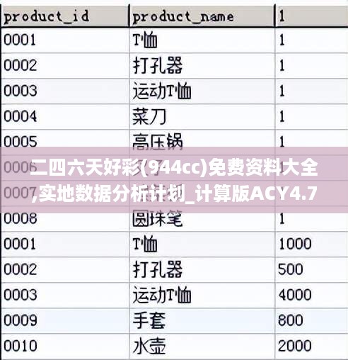 二四六天好彩(944cc)免费资料大全,实地数据分析计划_计算版ACY4.70