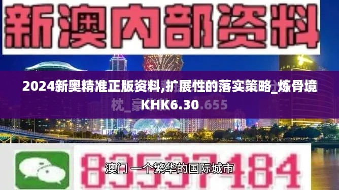 2024新奥精准正版资料,扩展性的落实策略_炼骨境KHK6.30