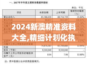 2024新澳精准资料大全,精细计划化执行_零售版NHZ1.61