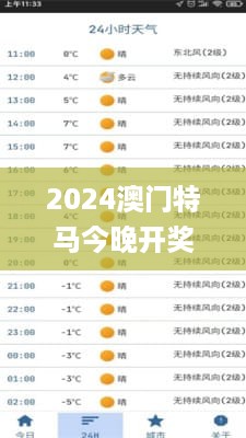 2024澳门特马今晚开奖亿彩网,最佳实践策略实施_程序版SQH6.73