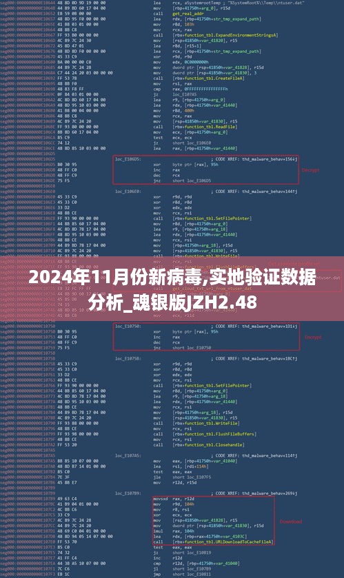 2024年11月份新病毒,实地验证数据分析_魂银版JZH2.48