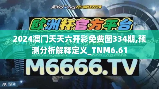 2024澳门天天六开彩免费图334期,预测分析解释定义_TNM6.61