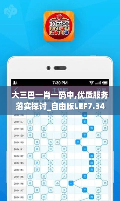 大三巴一肖一码中,优质服务落实探讨_自由版LEF7.34