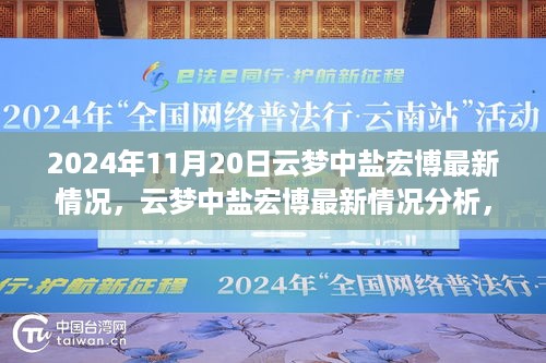 2024年11月20日云梦中盐宏博最新动态及分析，焦点观点与争议一览