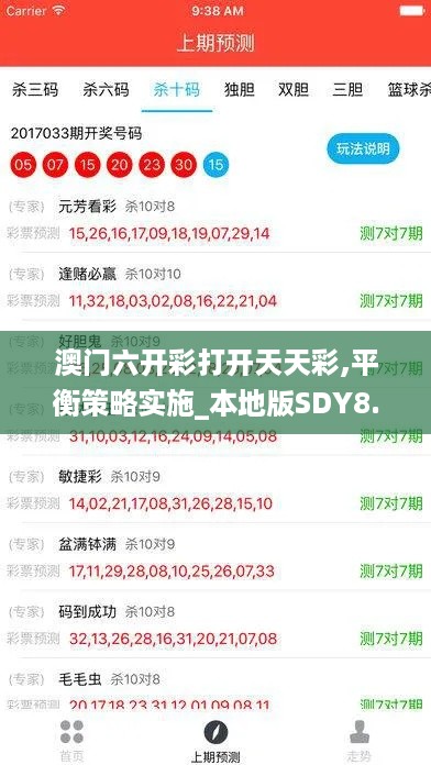 澳门六开彩打开天天彩,平衡策略实施_本地版SDY8.15