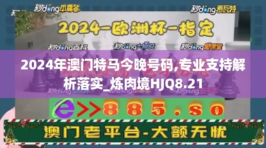 2024年澳门特马今晚号码,专业支持解析落实_炼肉境HJQ8.21