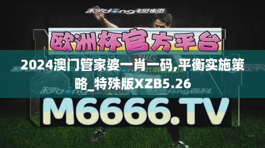 2024澳门管家婆一肖一码,平衡实施策略_特殊版XZB5.26