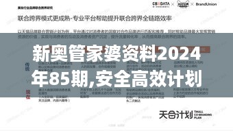 新奥管家婆资料2024年85期,安全高效计划落实_跨界版UDT1.18