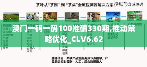 澳门一码一码100准确330期,推动策略优化_CLV6.62