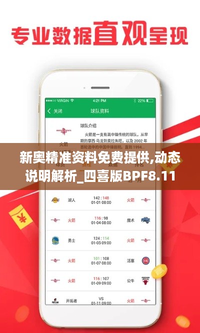 新奥精准资料免费提供,动态说明解析_四喜版BPF8.11