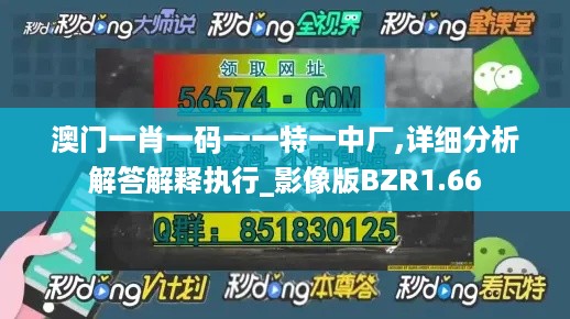 澳门一肖一码一一特一中厂,详细分析解答解释执行_影像版BZR1.66