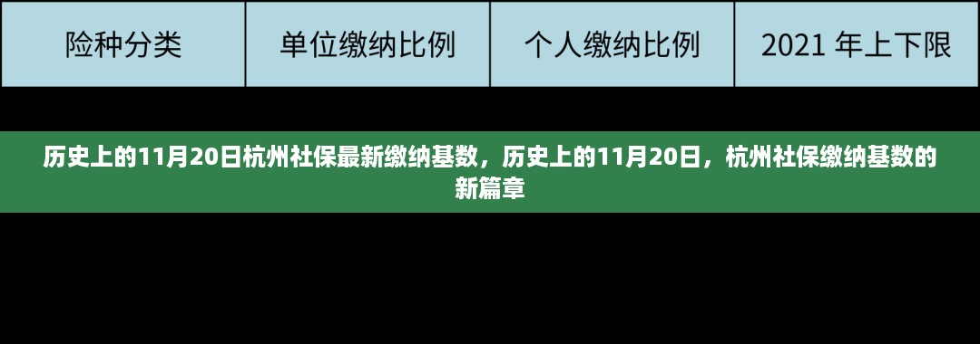 杭州社保缴纳基数新篇章，历史上的11月20日回顾与最新基数公布