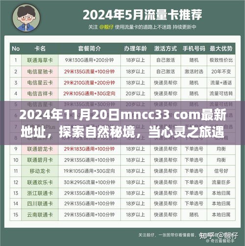 心灵之旅遇上MNCC33 com，探索自然秘境的最新旅程（2024年11月20日最新地址）