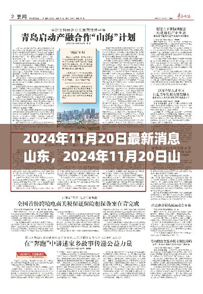 山东最新消息汇总，2024年11月20日最新消息概览