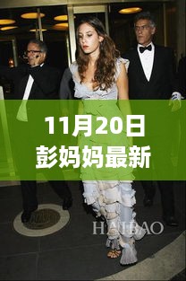 彭妈妈11月20日最新时尚着装解析，展现优雅风采的图片展示