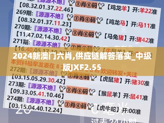 2024新澳门六肖,供应链解答落实_中级版JXF2.55