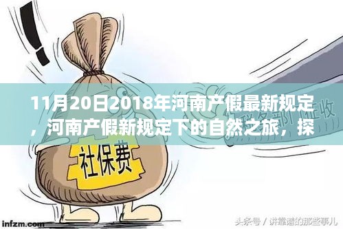 河南产假新规定下的自然之旅，探索美景与内心宁静之旅