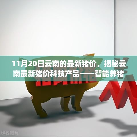 揭秘云南最新猪价科技产品，智能养猪引领生活新潮流！