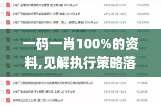 一码一肖100%的资料,见解执行策略落实_自助版ZRP7.60