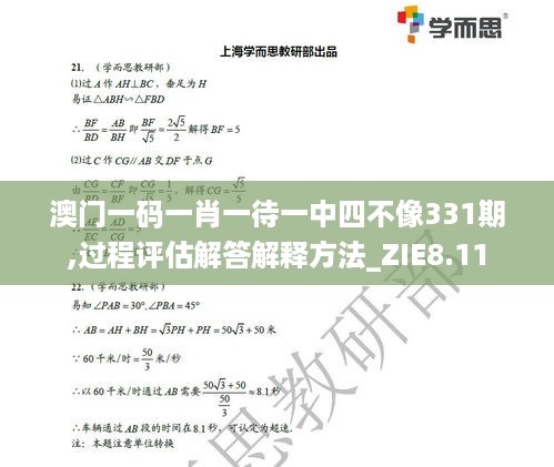 澳门一码一肖一待一中四不像331期,过程评估解答解释方法_ZIE8.11