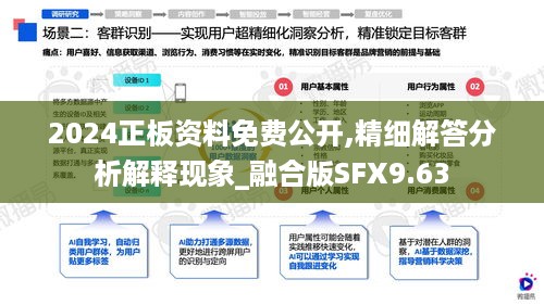 2024正板资料免费公开,精细解答分析解释现象_融合版SFX9.63