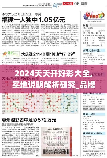 2024天天开好彩大全,实地说明解析研究_品牌版SLJ8.11